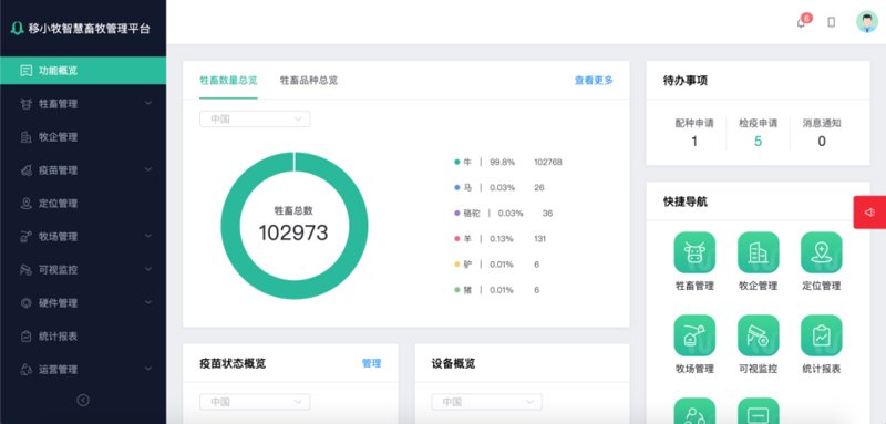深度解析站群程序在竞争市场中的应用与挑战